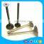 motorcycle replacement parts engine valve for BMWW f800gs bmww f800r