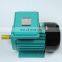 YL90L-2 3HP 2.2KW 2800RPM single phase induction motor