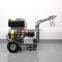 BISON(CHINA) BS-D250 New Design Professional 250Bar Portable Water High Pressure Cleaner For Sale