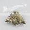 China juren supplier custom clear food grade vacuum bag