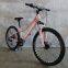 alloy mountain bicycle/bike/cycle/BIKE 24