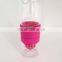 Hot Sale Glass Lemon Juice Maker Bottle With Fliter