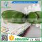 2016 Wholesale PU Latex Artificial Flowers Phalaenopsis leaves big six Real Touch Babys breath fake flower
