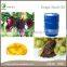 100% Natural Skin Care Product Grape Seed Oil on Sale