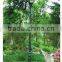 Hot Design LED Solar Garden Light & Solar Garden Lighting