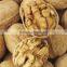 Best Raw Walnut Kernels on Sale