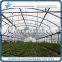 High Quality Plastic Green house