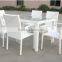 DT158 wholesale modern rattan dining chair