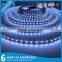 Chinese factory price 3014 SMD blue led lighting strips led blue strip lights
