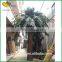 New design artificial date palm tree fiberglass canary palm tree
