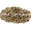 Quality Hemp Seeds