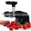 Slow Juicer_Single gear juicer