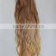 Direct Factory Wholesale 220 Double Drawn Thick Ends Clip In Hair Extension For Women
