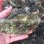 Green Tourmaline Gemstone Crystal Rough Stone