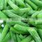 New crops IQF Frozen long beans cut