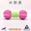Rubber Fetch Dog Chew Toy Tumbell Training Toy                        
                                                Quality Choice