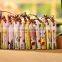 Best Gift for Children Flute Whistle