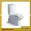 1805 Popular One Piece Sanitare Ware Washdown Floor Mounted wc Toilet