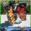 MY Dino-C080 Indoor display simulation butterfly models
