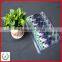 Vacuum plastic packing tray