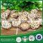 2015 HOT Cheap Market Prices for Mushroom for Sale