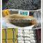 2016 High quality dried sea kelp used for seaweed salad