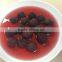 High Quality Canned Red Bayberry Fruit Juice for canned fruit salad