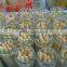 Fresh Canned White Asparagus in jar with Price