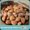 Dried Apricot Seeds