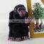 Bulk garden decoration plastic gorilla big size