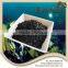 High Concentrated Kelp Source Seaweed Extract Fertilizer