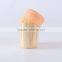 2016 NEW product plastic bottle packed toothpick in bulk