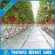 Hydroponic system with coco peat for multi span commerical greenhouses