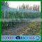 100% Virgin HDPE With UV Resistant Grape Support Net