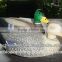 Customized floater mallard duck decoy for hunting sports plastic Waterfowl duck decoys
