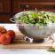 Pasta, Fruit and Vegetables Multi-Purpose Dishwasher Colander
