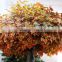 GNW BTR035 Best Price Maple Tree Artificial Golden Leaf Autumn Trees