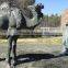 Camel Contemplating a Needle