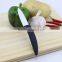 Never Rust Sharp Blade Mini Ceramic Knife With Black Handle