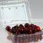 Disposable packaging ;Vegetable box ;Fruit dish