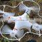 X47V 2.4G Medium 4-Axis RC Video Quadcopter With Foam Body & Protect Guard