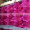 High Quality Fox Fur Plates