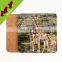 Factory outlet waterproof pure wood coaster for cup