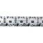 ISDE cylinder head 4936081