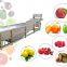 Fruit And Vegetable Washing Machine Operation Manufacturing Process