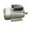YL8042 1KW single phase electric motor