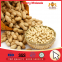 CHINESE BLANCHED GROUNDNUT KERNELS 25/29 WITH TOP QUALITY