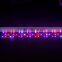3 Years Warranty 296pcs 296x 5W Cheap Led Grow Lights