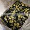 Sinocharm BRC A approved IQF egg plant slice Frozen egg plant