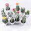 Wholesale Lifelike Artificial Plant Bonsai Ornamental Mini Home Office Faux Plants Pot Decor Artificial Cactus Potted Plants